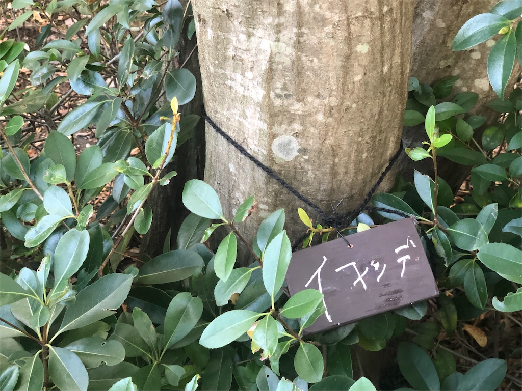 f:id:k-hisatune:20210916090136j:image f:id:k-hisatune:20210916090136j:image