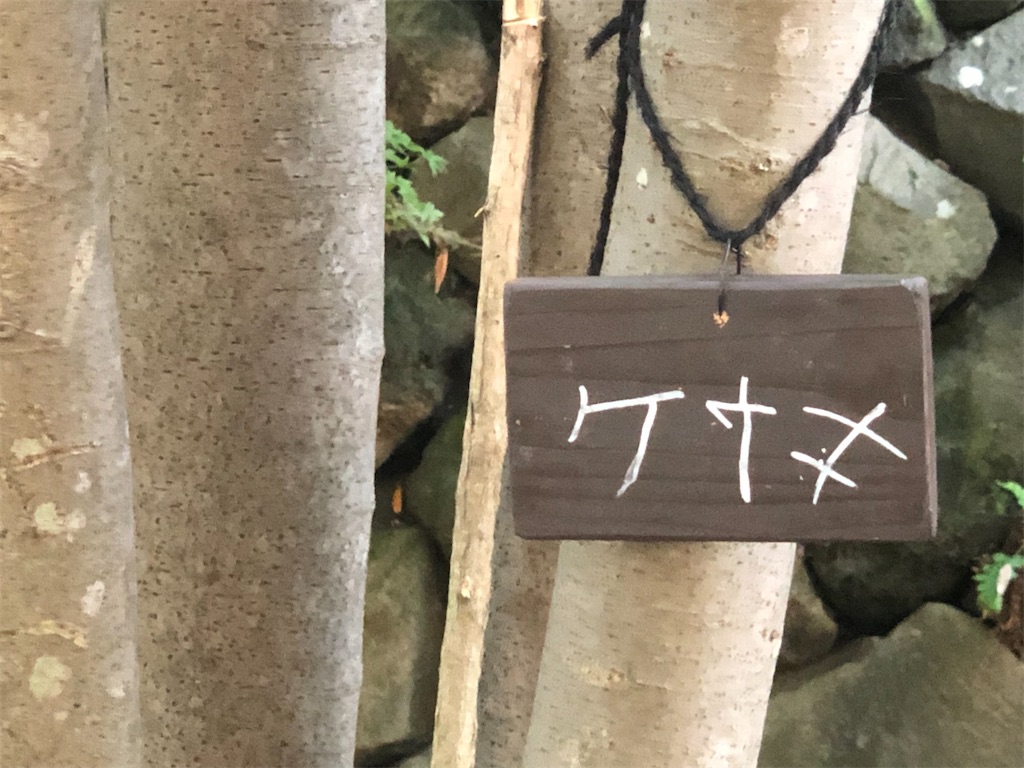 f:id:k-hisatune:20210916090138j:image f:id:k-hisatune:20210916090138j:image