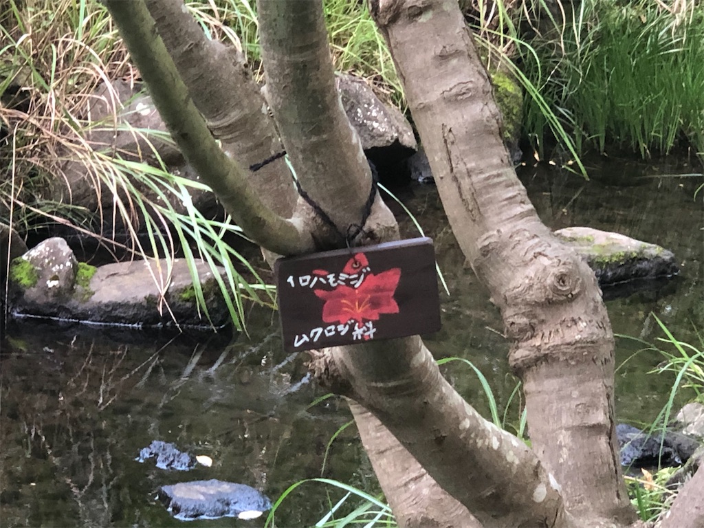 f:id:k-hisatune:20210916090144j:image f:id:k-hisatune:20210916090144j:image