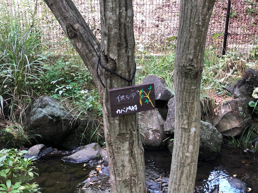 f:id:k-hisatune:20210916090147j:image f:id:k-hisatune:20210916090147j:image