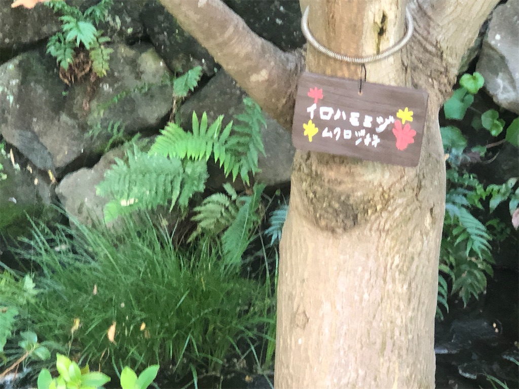 f:id:k-hisatune:20210916090149j:image f:id:k-hisatune:20210916090149j:image