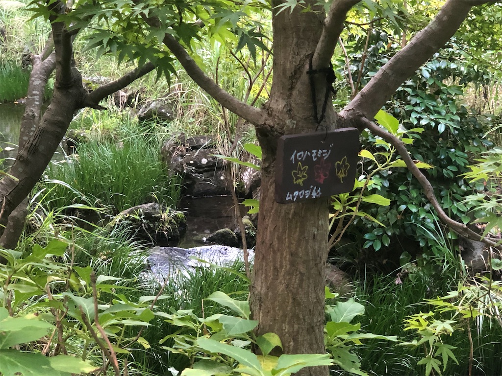 f:id:k-hisatune:20210916090152j:image f:id:k-hisatune:20210916090152j:image