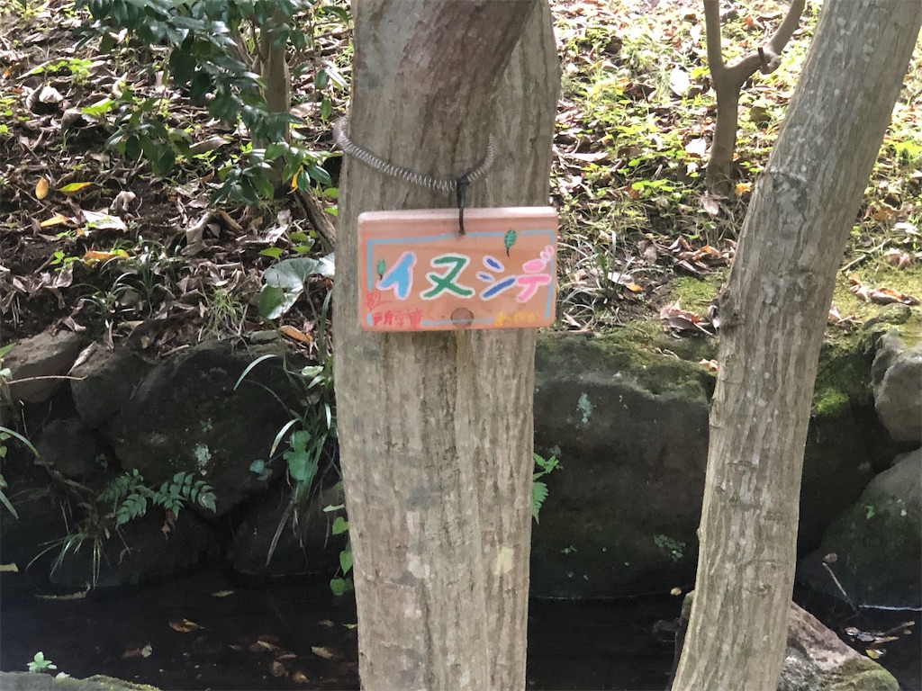 f:id:k-hisatune:20210916090154j:image f:id:k-hisatune:20210916090154j:image