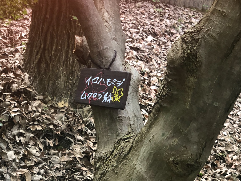 f:id:k-hisatune:20210916090159j:image f:id:k-hisatune:20210916090159j:image