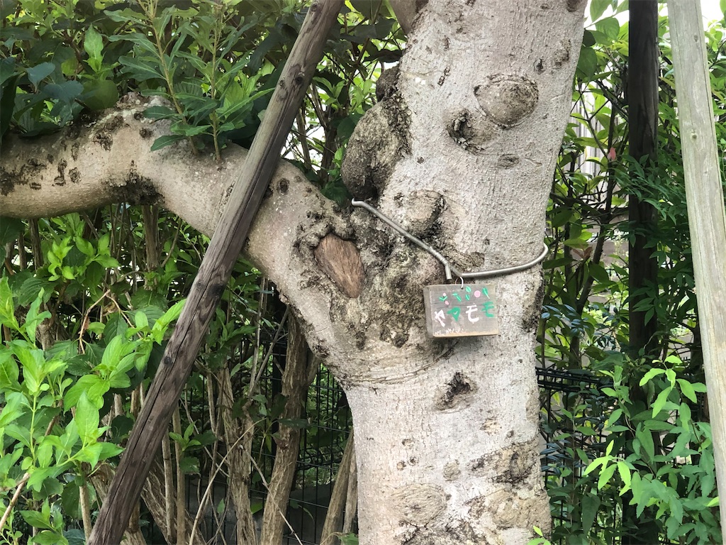 f:id:k-hisatune:20210916090203j:image f:id:k-hisatune:20210916090203j:image