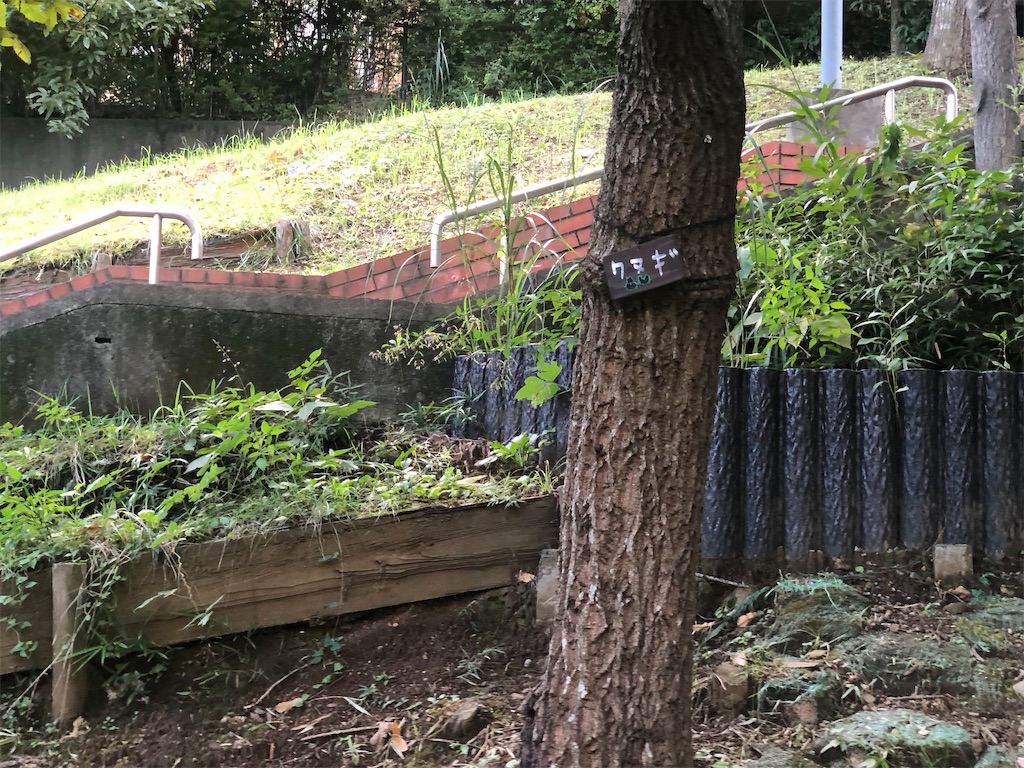 f:id:k-hisatune:20210916090205j:image f:id:k-hisatune:20210916090205j:image