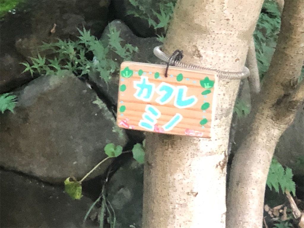 f:id:k-hisatune:20210916090208j:image f:id:k-hisatune:20210916090208j:image