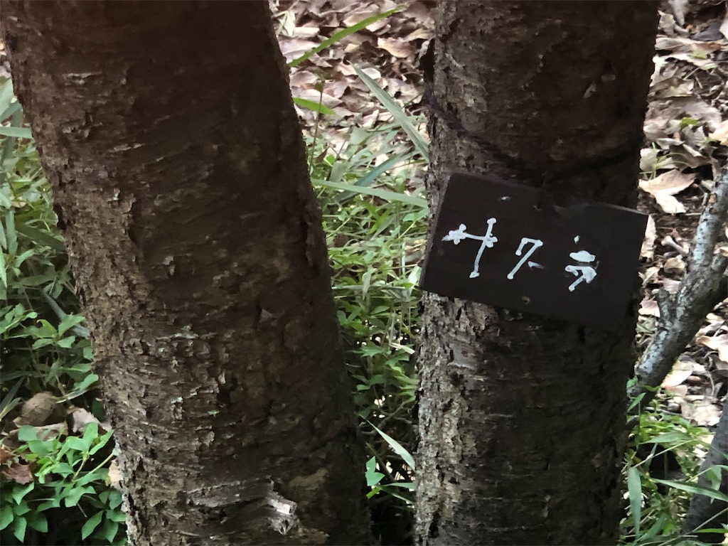 f:id:k-hisatune:20210916090214j:image f:id:k-hisatune:20210916090214j:image