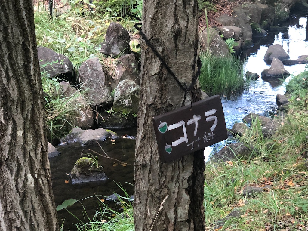 f:id:k-hisatune:20210916090217j:image f:id:k-hisatune:20210916090217j:image