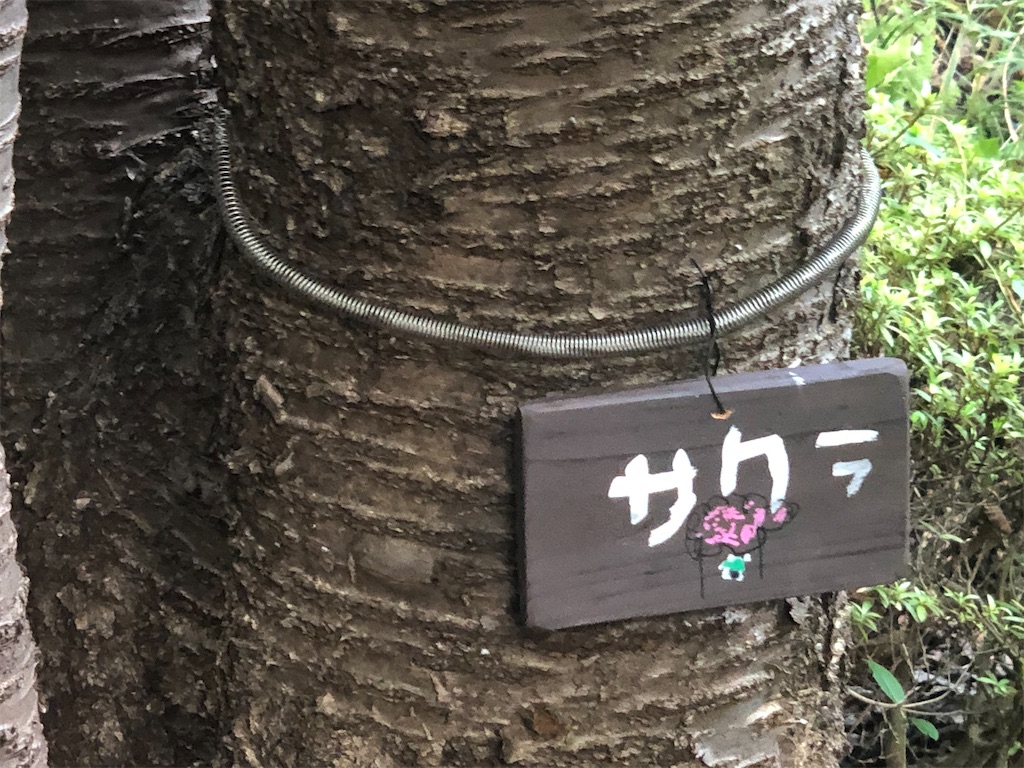 f:id:k-hisatune:20210916090220j:image f:id:k-hisatune:20210916090220j:image