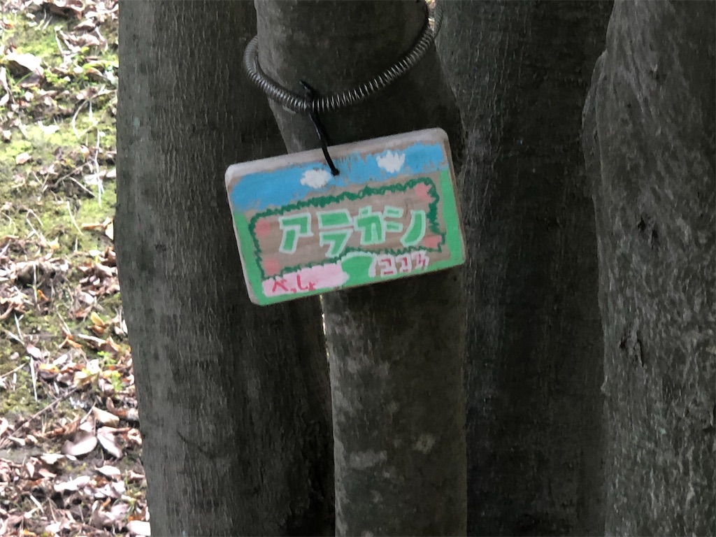 f:id:k-hisatune:20210916090226j:image f:id:k-hisatune:20210916090226j:image