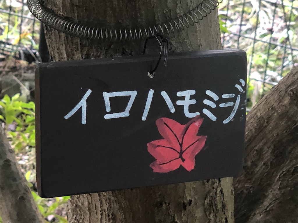 f:id:k-hisatune:20210916090229j:image f:id:k-hisatune:20210916090229j:image