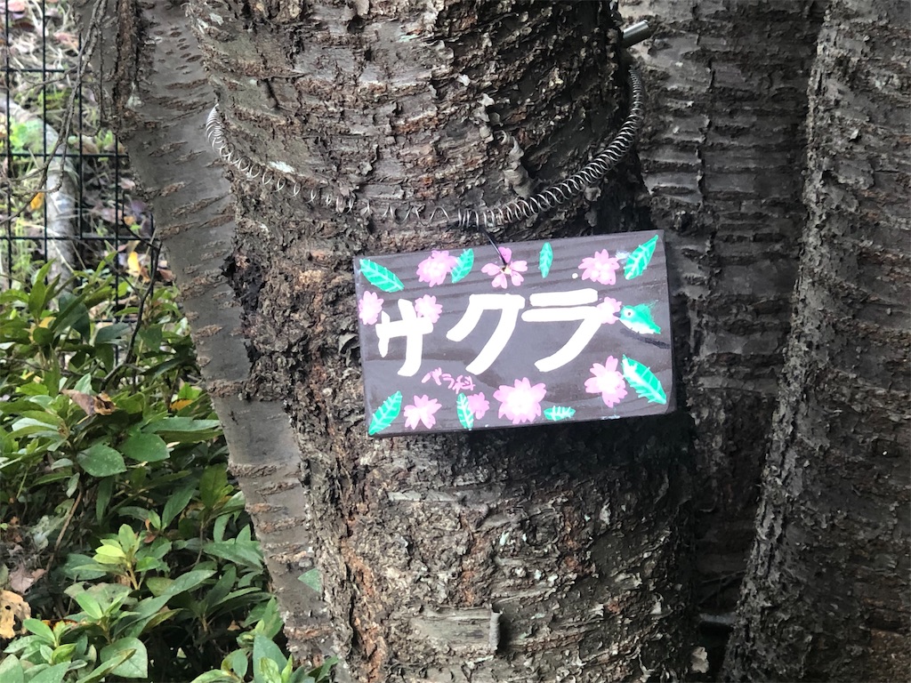 f:id:k-hisatune:20210916090232j:image f:id:k-hisatune:20210916090232j:image