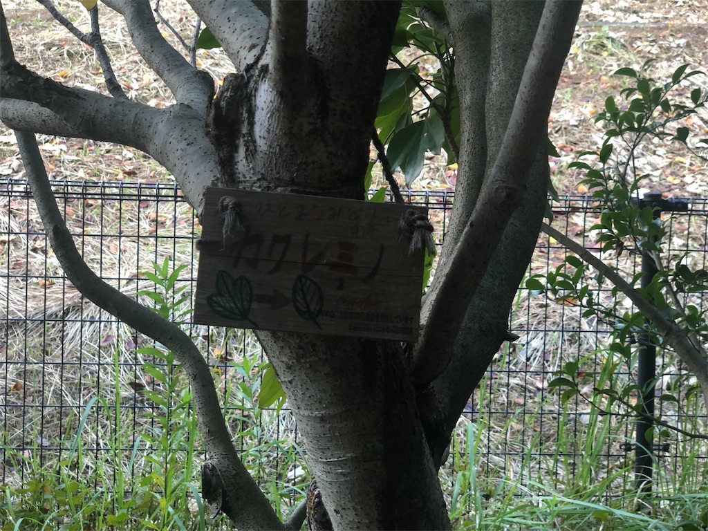 f:id:k-hisatune:20210916090235j:image f:id:k-hisatune:20210916090235j:image