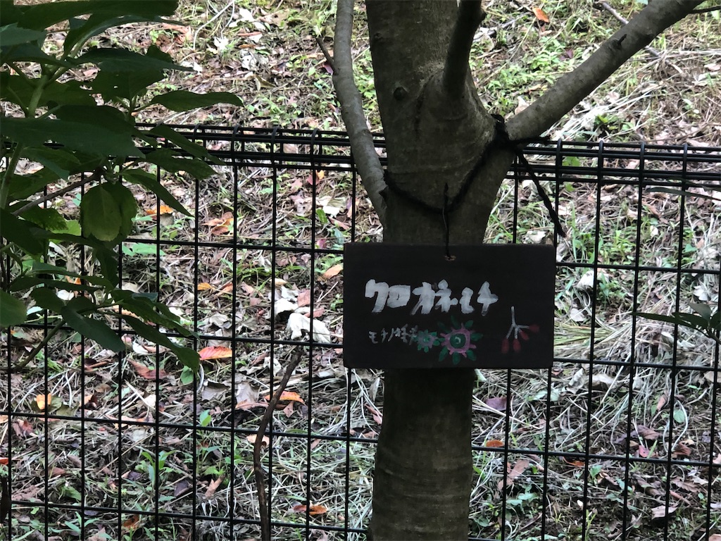 f:id:k-hisatune:20210916090238j:image f:id:k-hisatune:20210916090238j:image