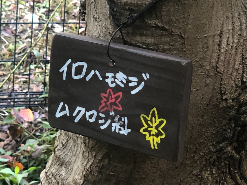 f:id:k-hisatune:20210916090244j:image f:id:k-hisatune:20210916090244j:image