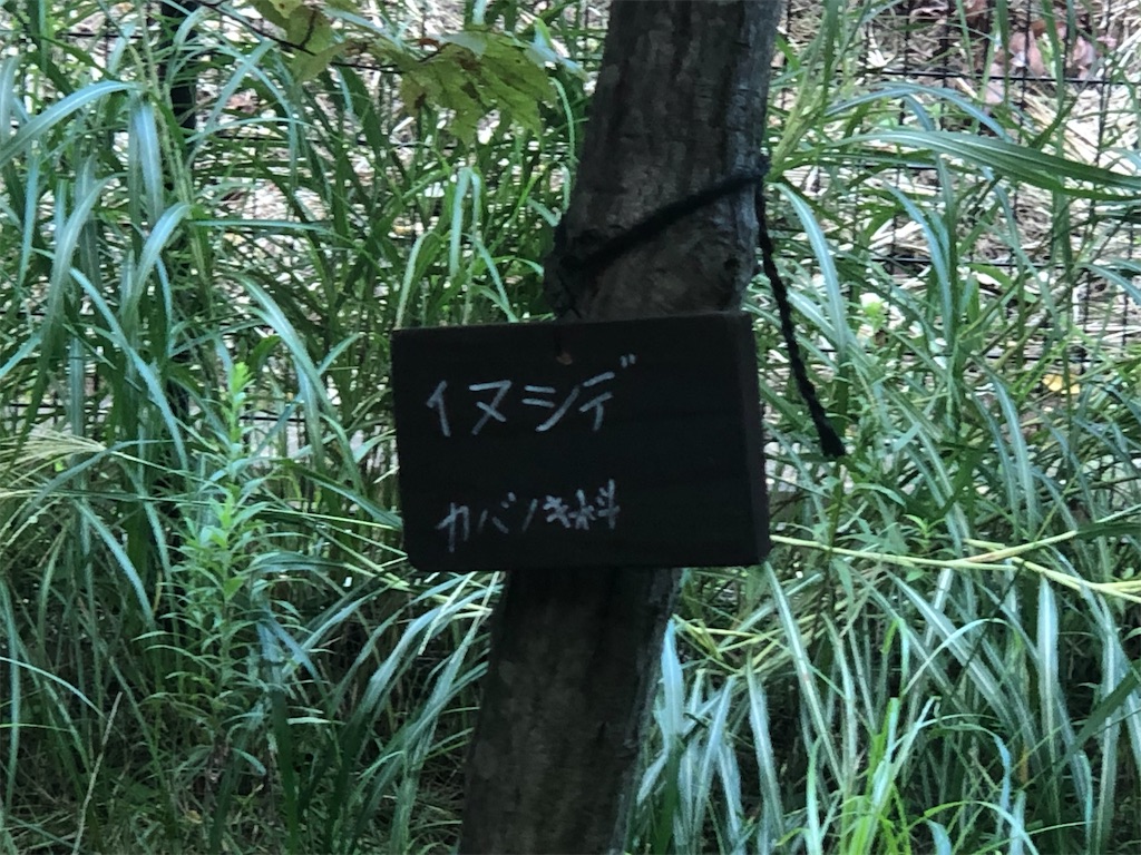 f:id:k-hisatune:20210916090252j:image f:id:k-hisatune:20210916090252j:image