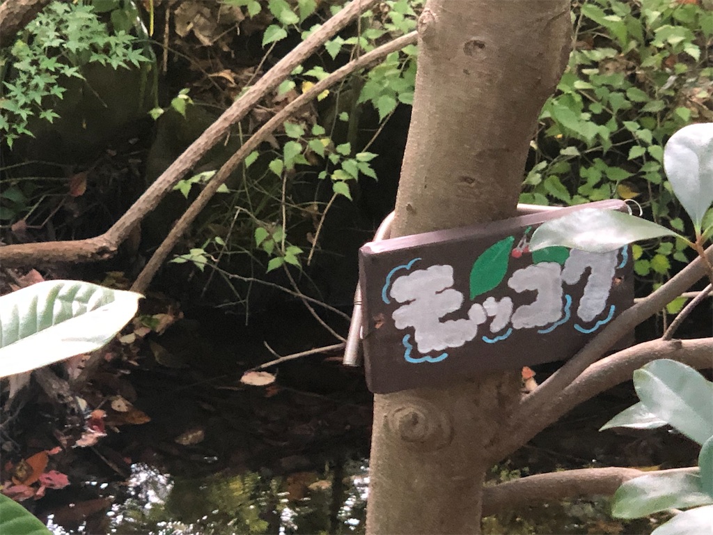 f:id:k-hisatune:20210916090255j:image f:id:k-hisatune:20210916090255j:image