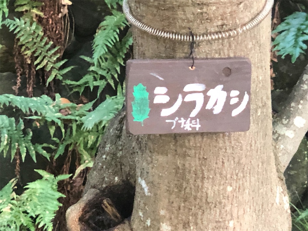 f:id:k-hisatune:20210916090258j:image f:id:k-hisatune:20210916090258j:image