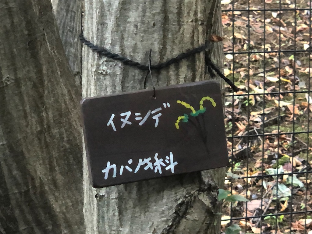 f:id:k-hisatune:20210916090304j:image f:id:k-hisatune:20210916090304j:image