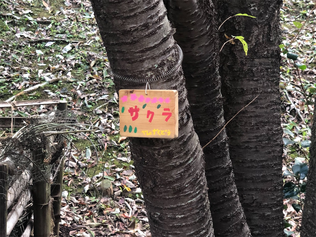 f:id:k-hisatune:20210916090307j:image f:id:k-hisatune:20210916090307j:image