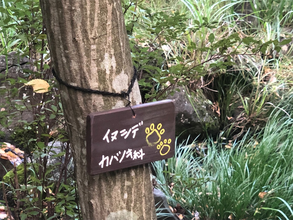 f:id:k-hisatune:20210916090310j:image f:id:k-hisatune:20210916090310j:image