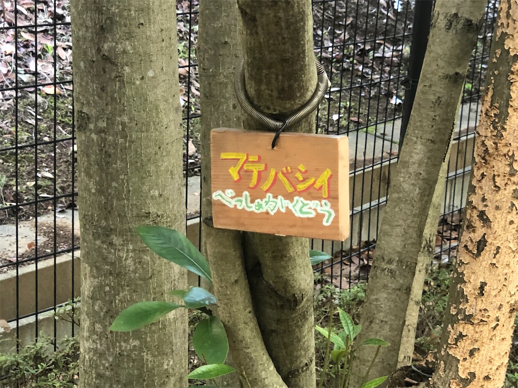 f:id:k-hisatune:20210916090316j:image f:id:k-hisatune:20210916090316j:image