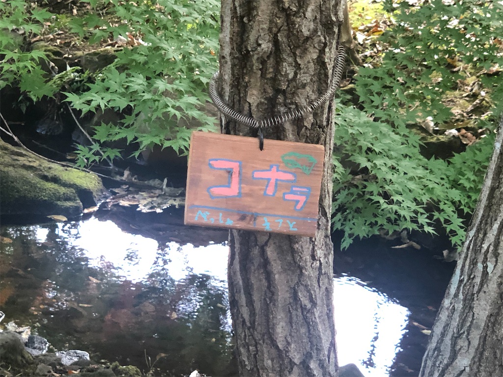 f:id:k-hisatune:20210916090319j:image f:id:k-hisatune:20210916090319j:image