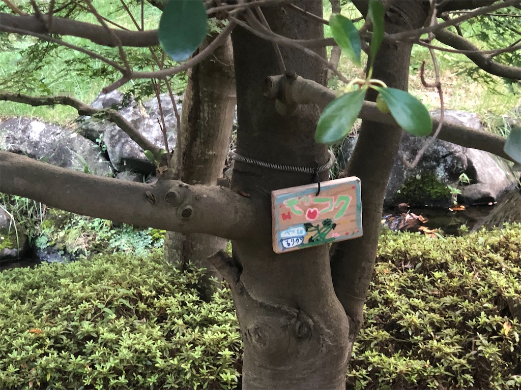 f:id:k-hisatune:20210916090325j:image f:id:k-hisatune:20210916090325j:image