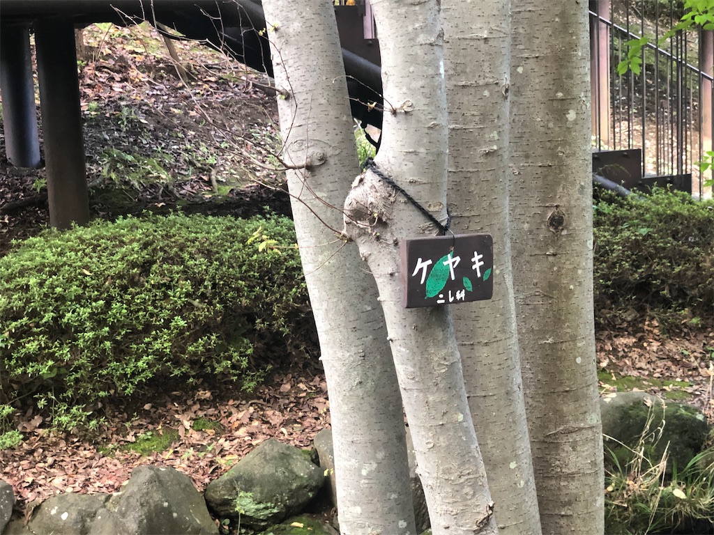 f:id:k-hisatune:20210916090331j:image f:id:k-hisatune:20210916090331j:image