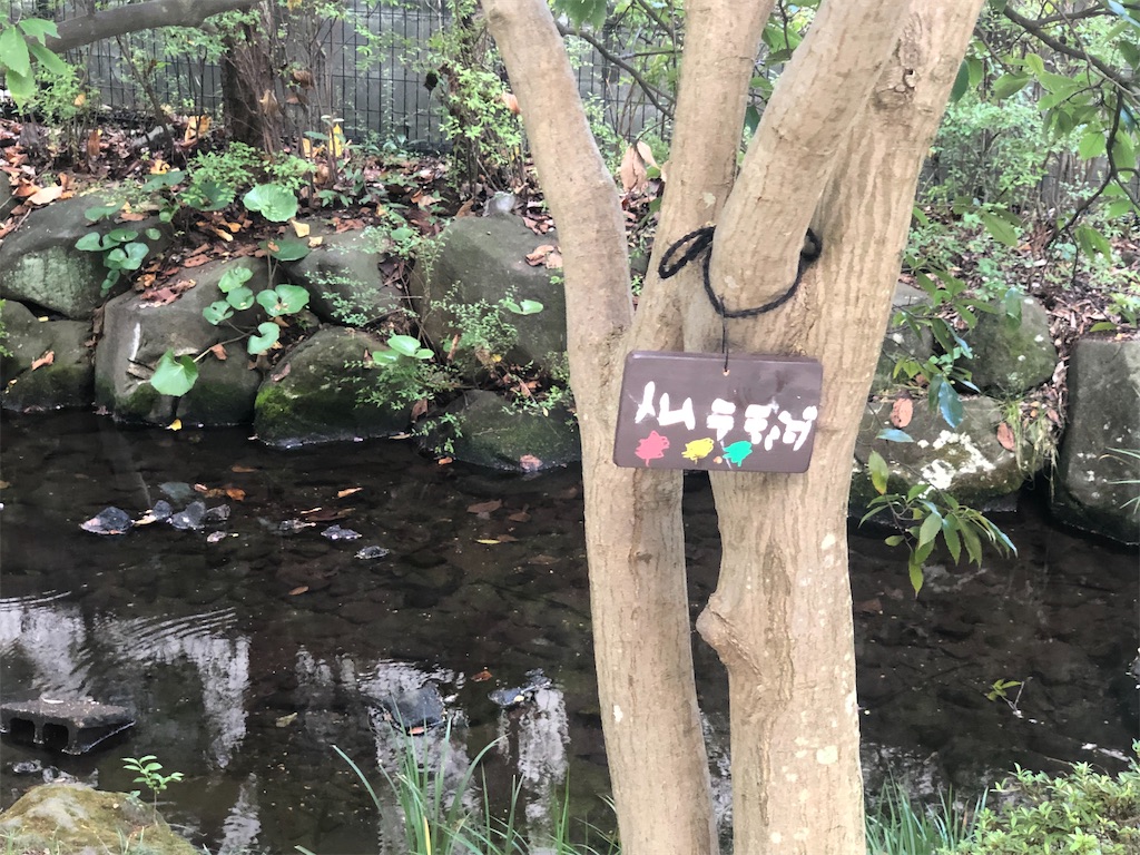 f:id:k-hisatune:20210916090423j:image f:id:k-hisatune:20210916090423j:image