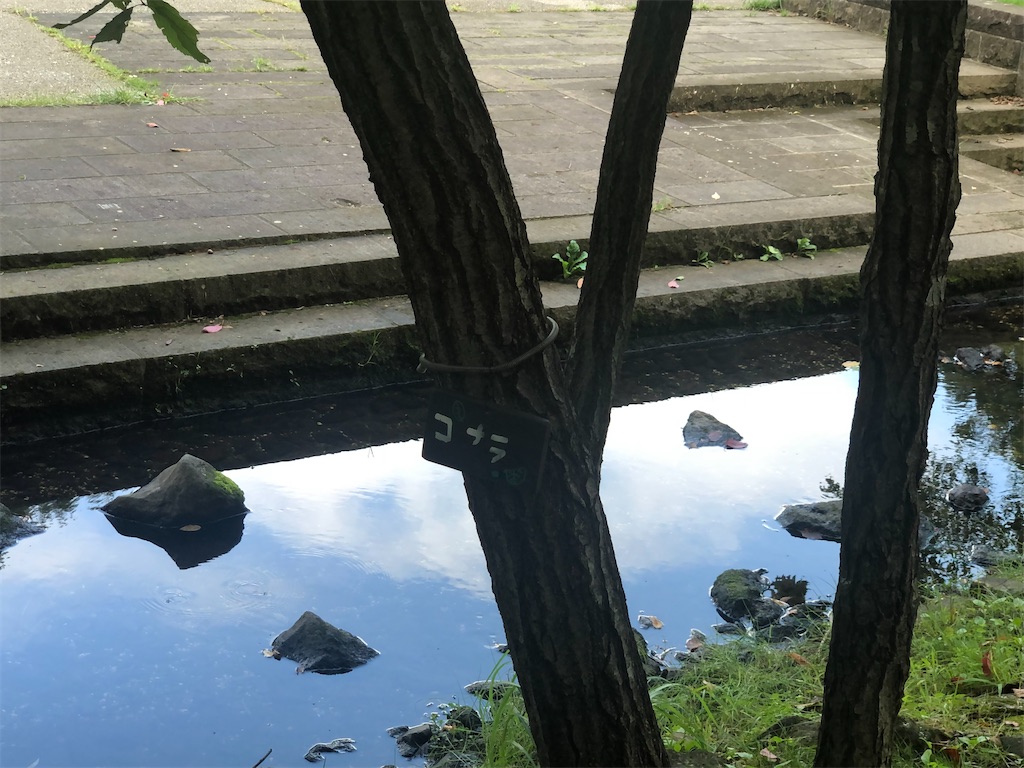 f:id:k-hisatune:20210916090843j:image f:id:k-hisatune:20210916090843j:image