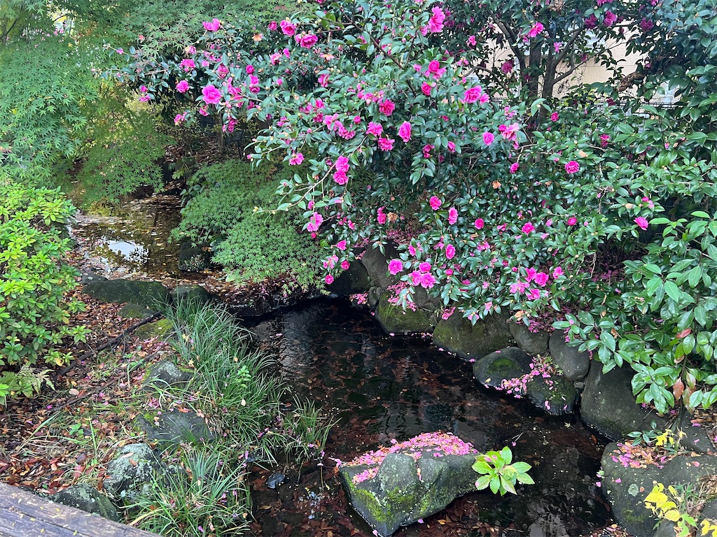 f:id:k-hisatune:20221117061327j:image f:id:k-hisatune:20221117061327j:image