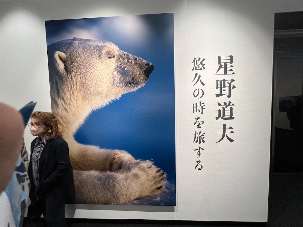 f:id:k-hisatune:20221123060132j:image