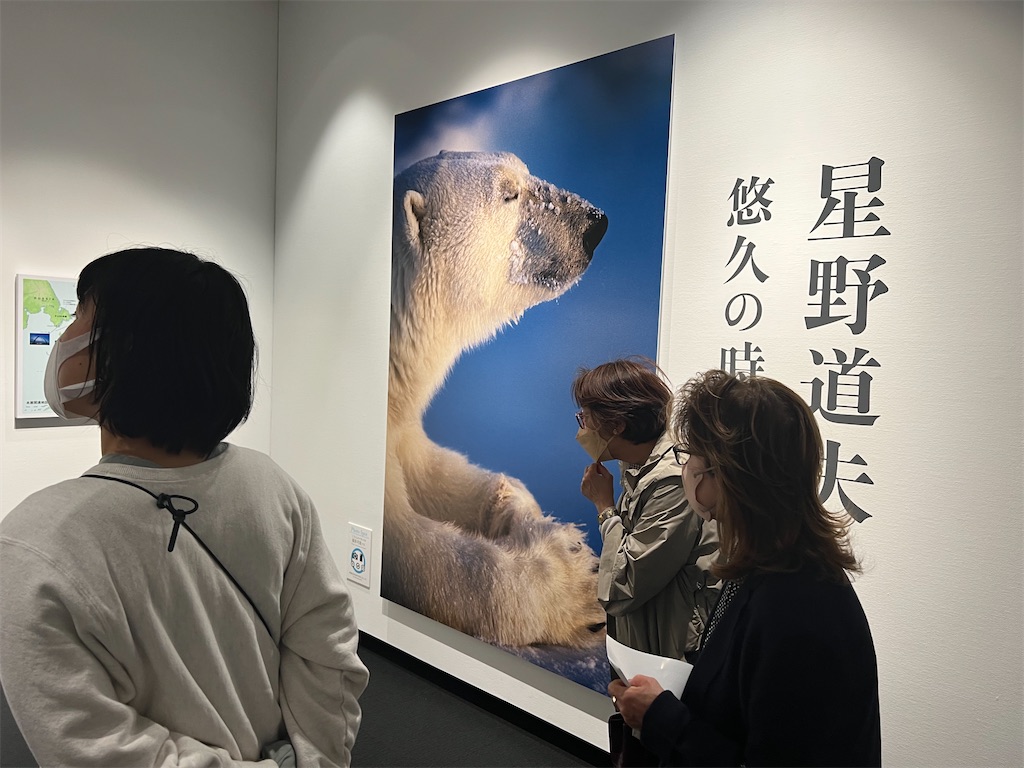 恵比寿の東京写真美術館星野道夫 悠久の時を旅する展。ーー今