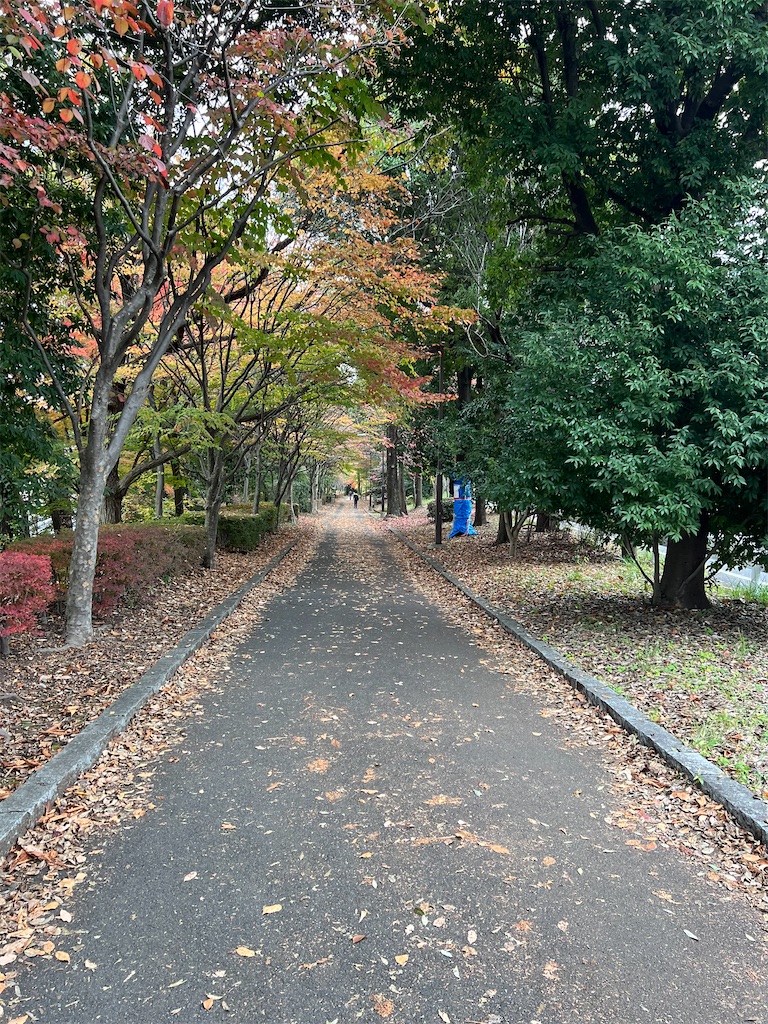 f:id:k-hisatune:20221130220853j:image f:id:k-hisatune:20221130220853j:image