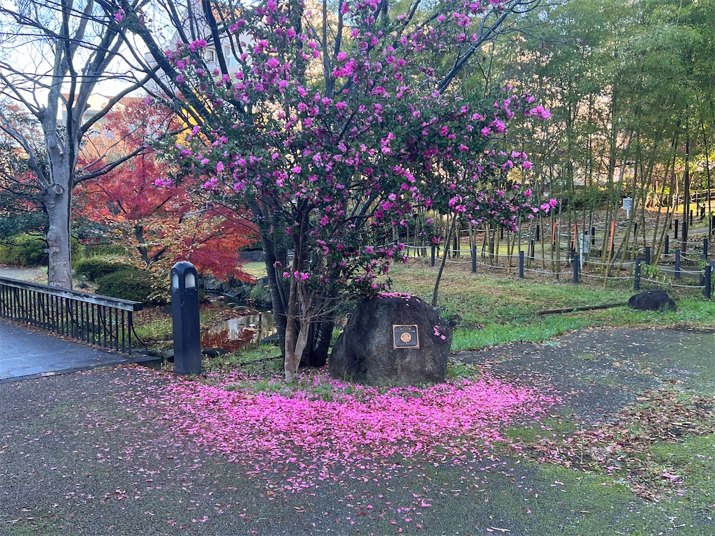 f:id:k-hisatune:20221202050210j:image f:id:k-hisatune:20221202050210j:image