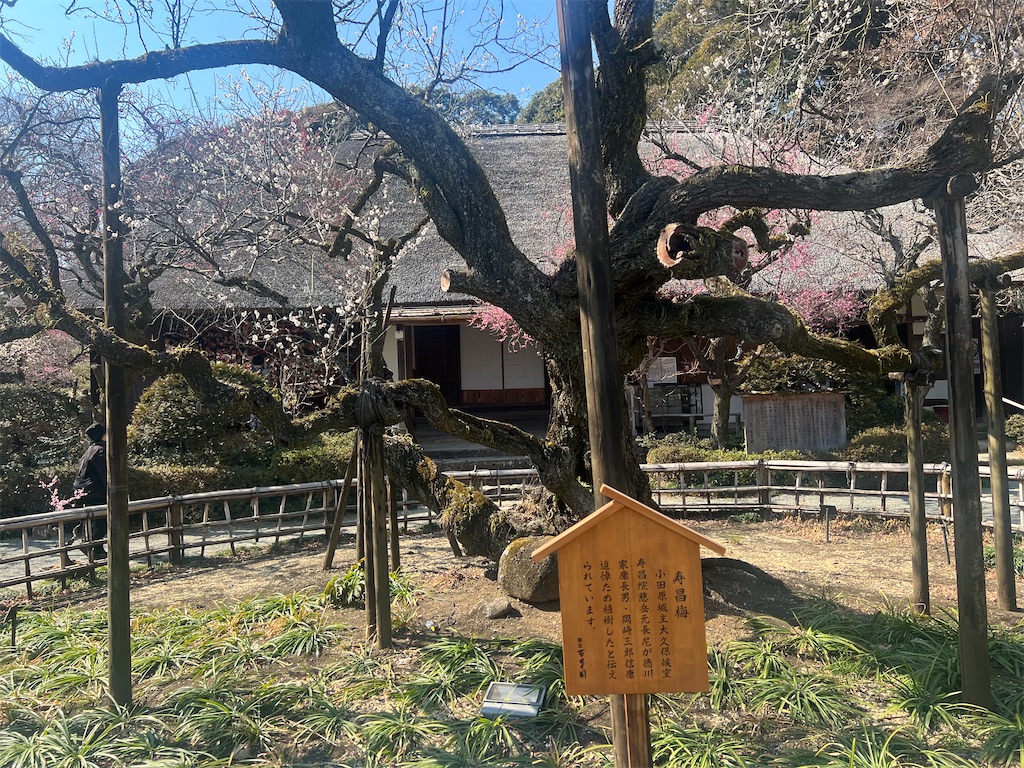 f:id:k-hisatune:20250301051132j:image f:id:k-hisatune:20250301051132j:image