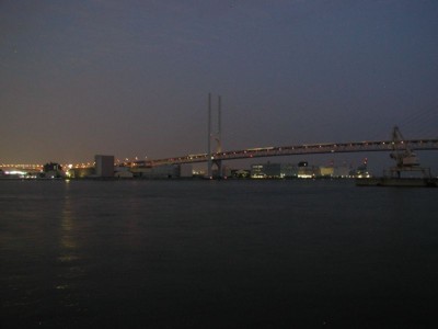 阪神高速湾岸線 東神戸大橋