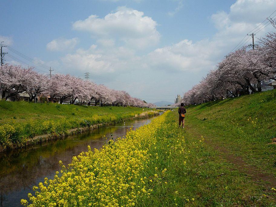 20110412004416