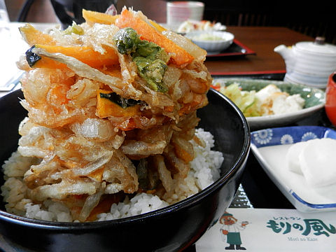 別子銅山 マイントピア別子 どんでん丼