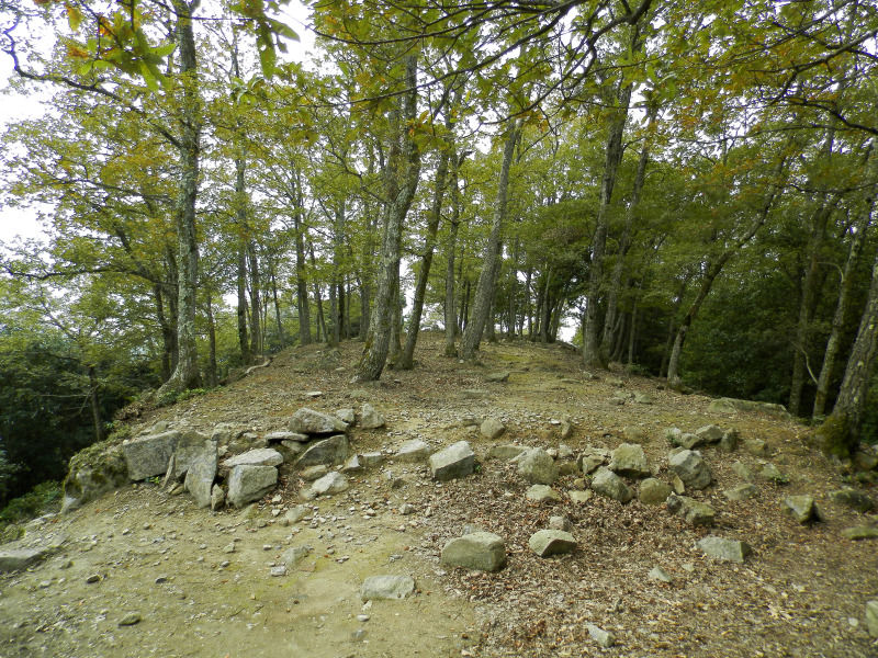 f:id:k-holy:20141027211157j:image