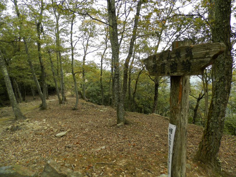 f:id:k-holy:20141027211158j:image