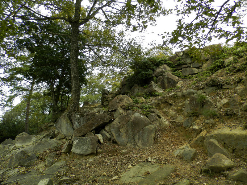 f:id:k-holy:20141027211209j:image