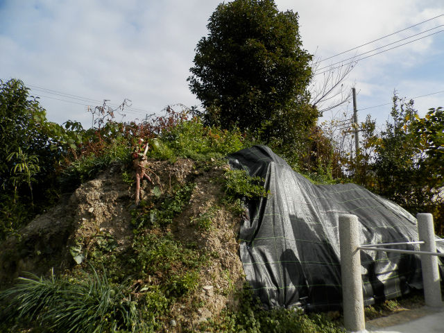 f:id:k-holy:20141207230107j:image