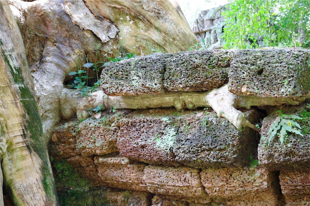 f:id:k-keikouma:20191118124255j:image f:id:k-keikouma:20191118124255j:image