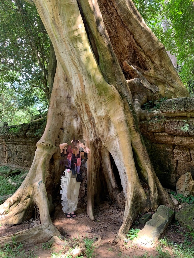 f:id:k-keikouma:20191118124428j:image f:id:k-keikouma:20191118124428j:image