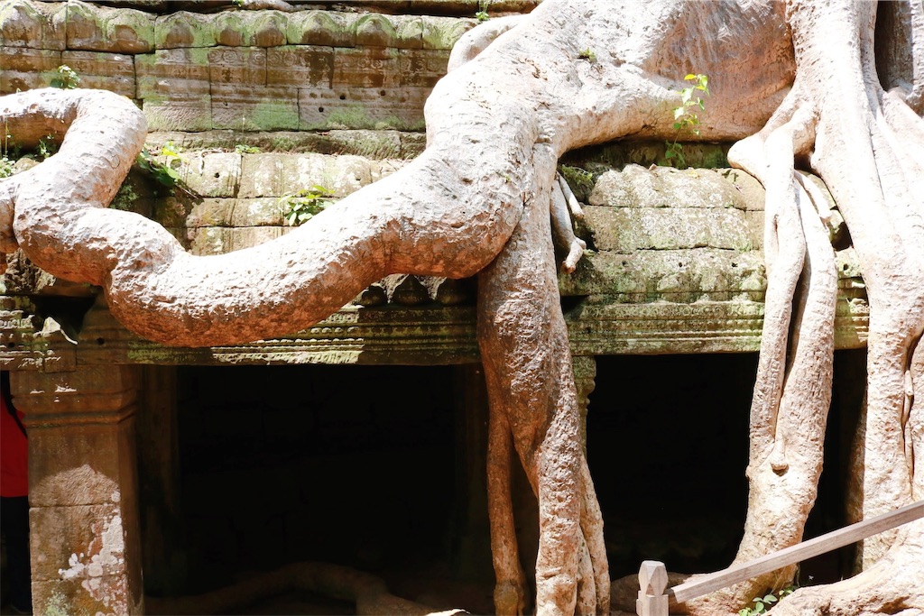 f:id:k-keikouma:20191118215908j:image f:id:k-keikouma:20191118215908j:image