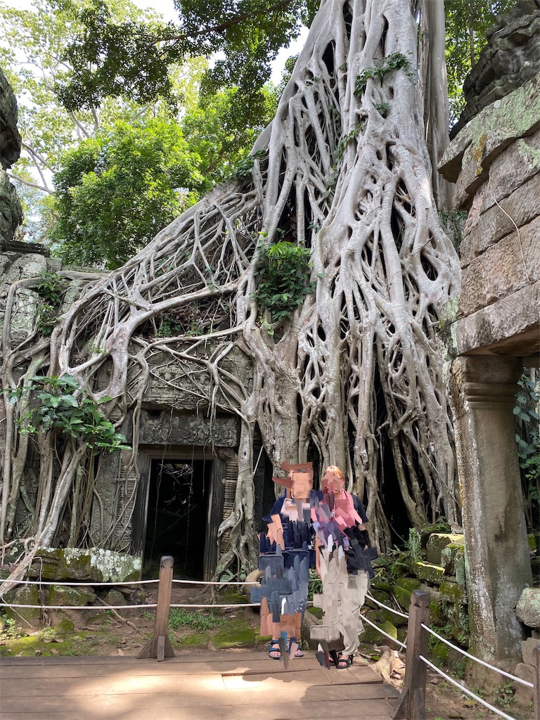 f:id:k-keikouma:20191118220235j:image f:id:k-keikouma:20191118220235j:image