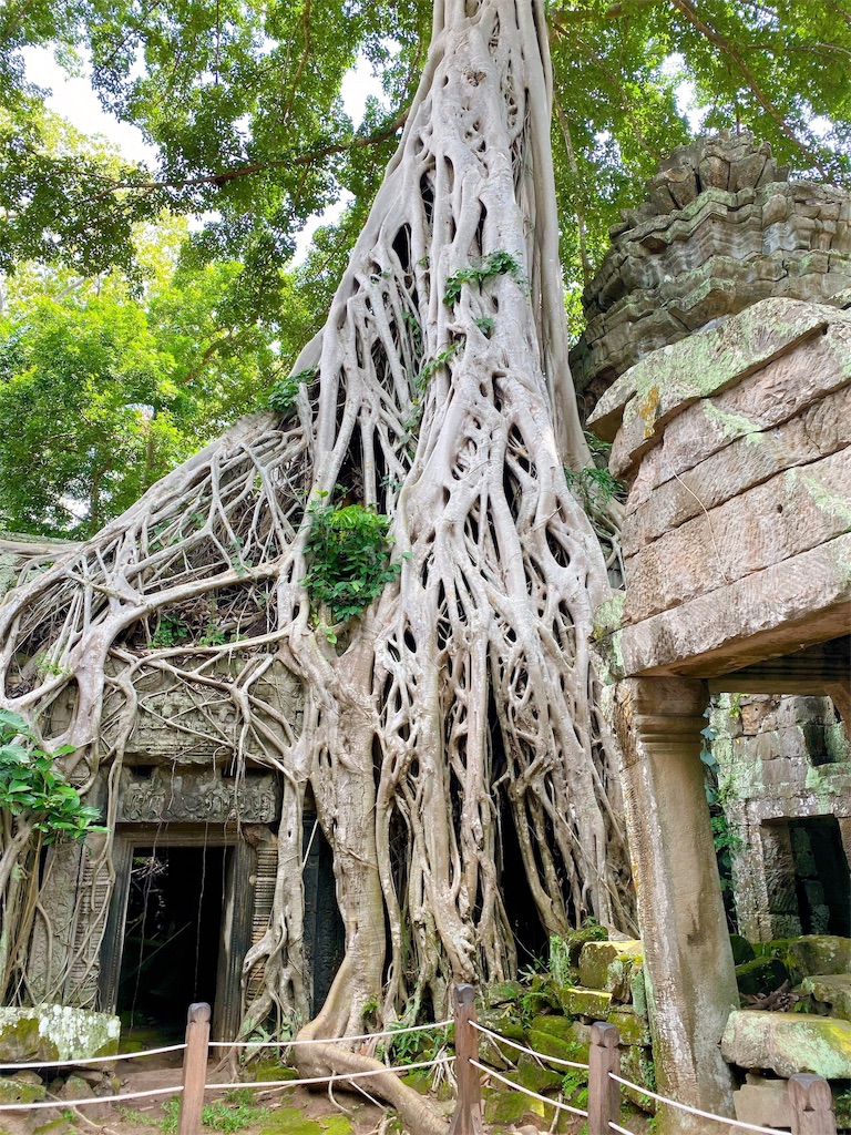 f:id:k-keikouma:20191118220241j:image f:id:k-keikouma:20191118220241j:image